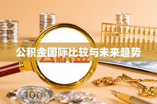 彝良公积金国际比较与未来趋势