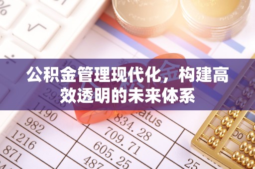彝良公积金管理现代化，构建高效透明的未来体系