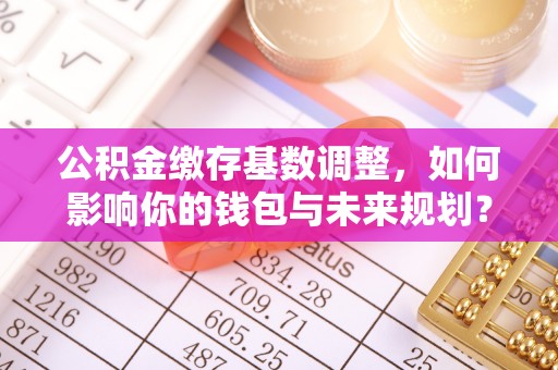 彝良公积金缴存基数调整，如何影响你的钱包与未来规划？