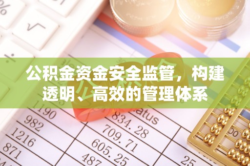 彝良公积金资金安全监管，构建透明、高效的管理体系