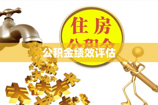 彝良公积金绩效评估