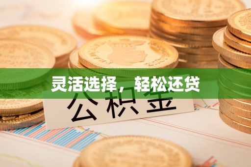 彝良灵活选择，轻松还贷