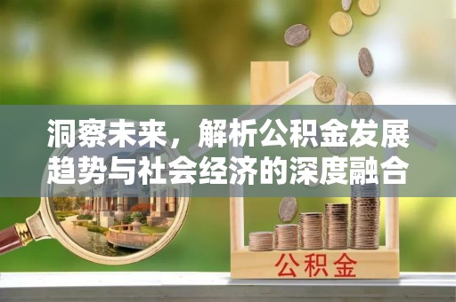 彝良洞察未来，解析公积金发展趋势与社会经济的深度融合