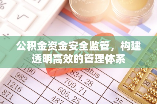 彝良公积金资金安全监管，构建透明高效的管理体系