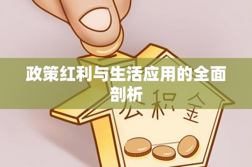 彝良政策红利与生活应用的全面剖析